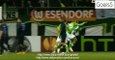 Naldo Goal Wolfsburg 1 - 1 Inter Europa League 12-3-2015