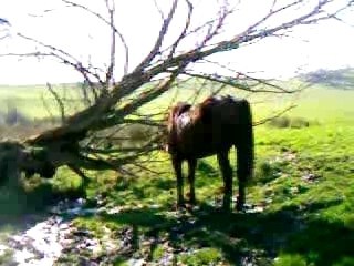 coucou c'est moi coquin au parce cool