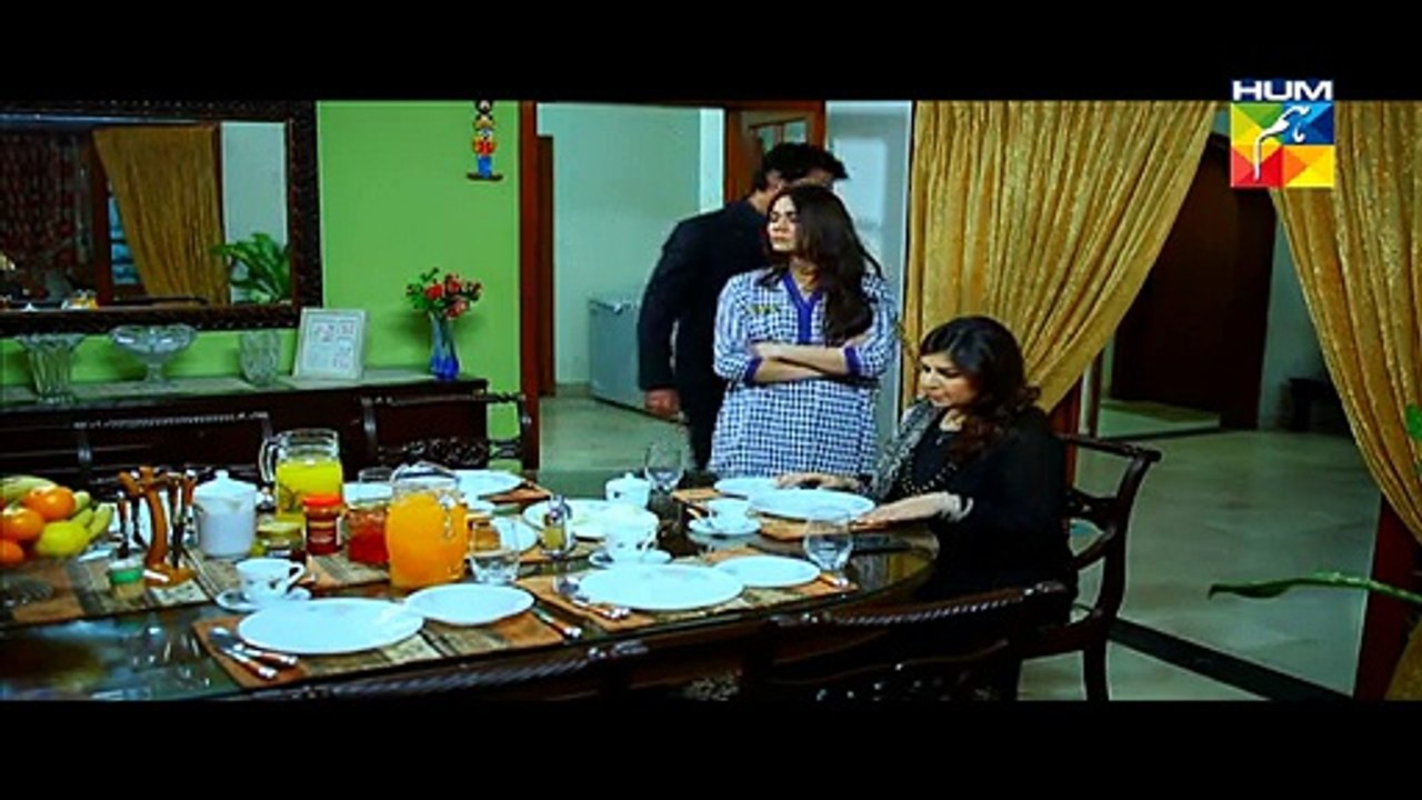 Sartaj Mera Tu Raaj Mera Episode 10 HUM TV Drama Mar 10, 2015