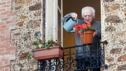 Jamais sans mon chien guide