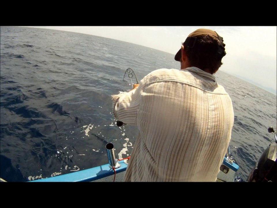 180lbs bluefintuna