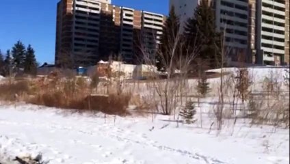 Planning Assignment 6