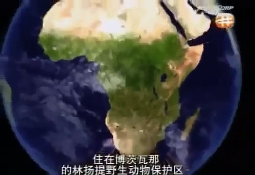 Discovery BBC documentary animals 2015 Wildlife Specials Discovery Animals Nature documentary