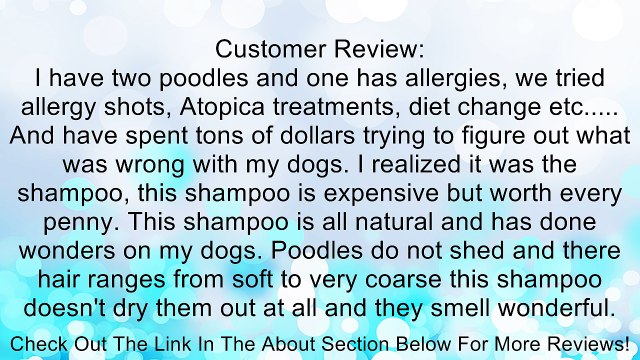 Shea Butter Shampoo with Oatmeal & Awapuhi Extract, 18 oz/ 532 ml Review