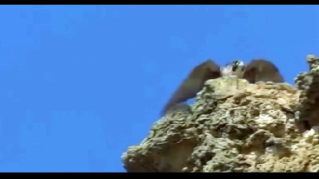 Neredeyse füze kadar hızlı