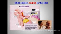what causes ringing in the ears - The Shocking Truth About Tinnitus Miracle