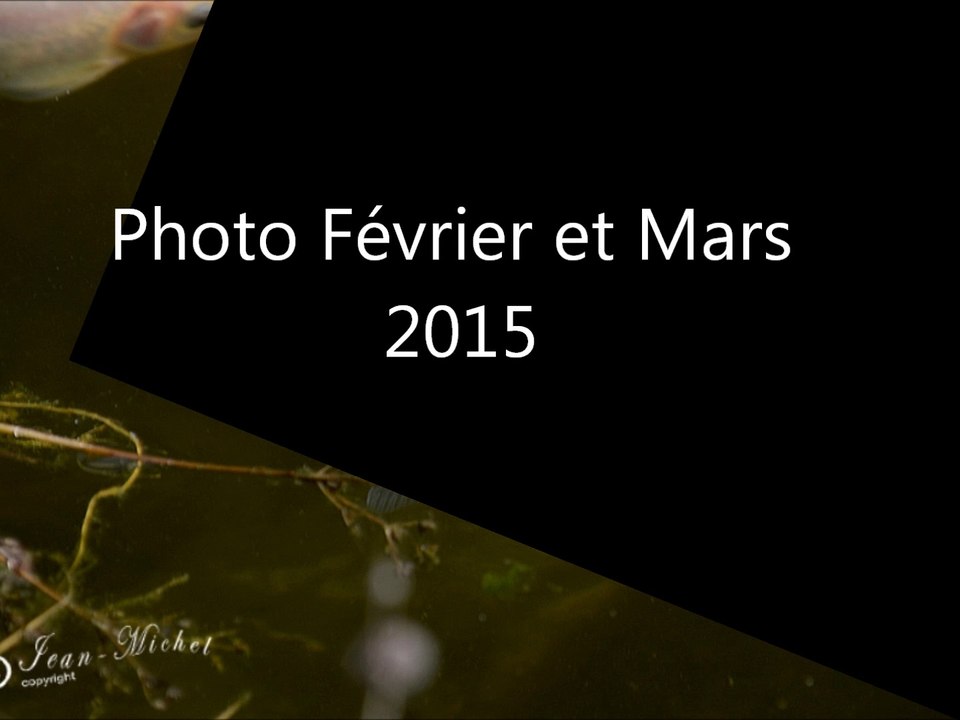 Photos février et mars 2025
