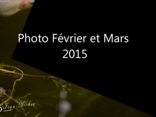 Photos février et mars 2025