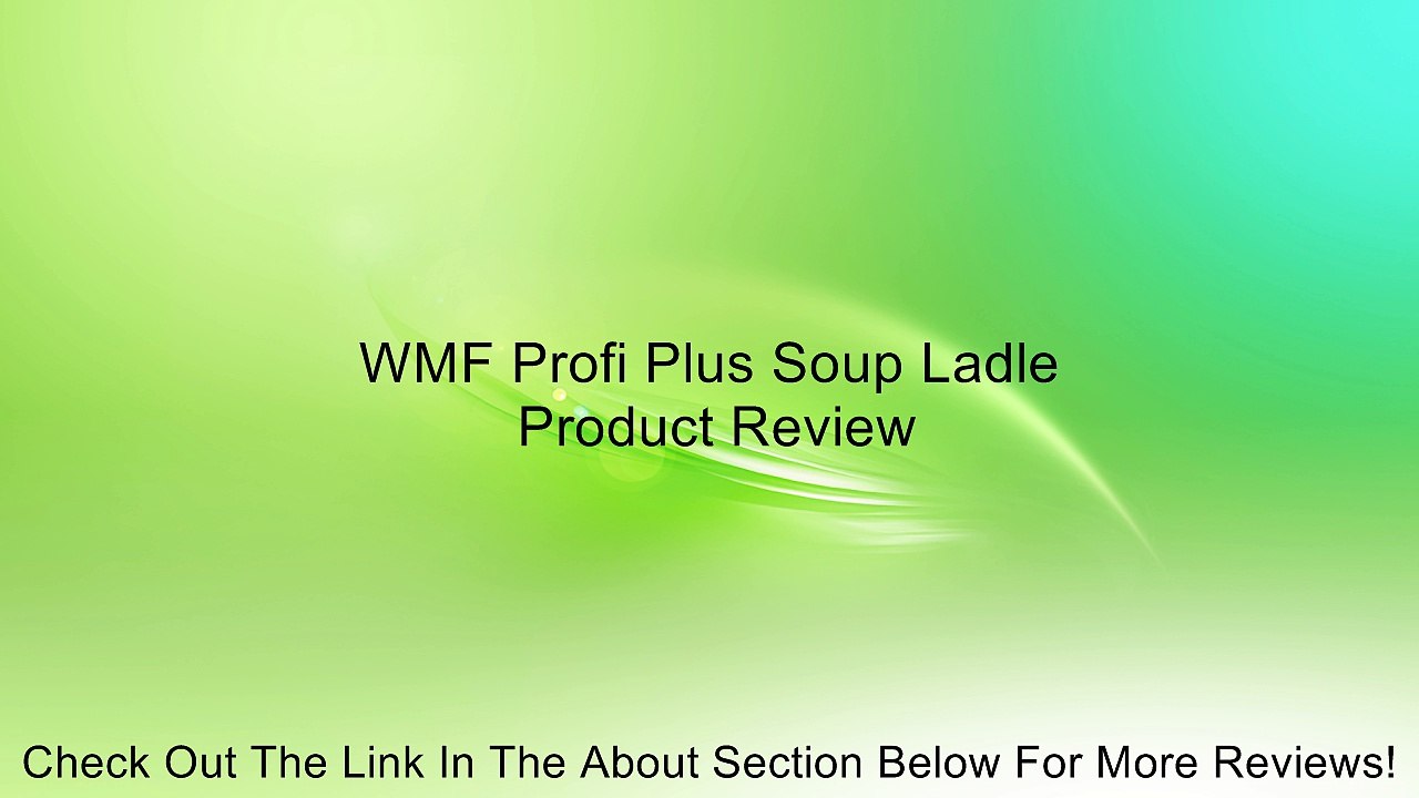 WMF Profi Plus Soup Ladle Review
