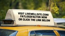 Fat Loss Factor Program Review Don t Buy Fat Loss Factor Till You Read This Program Review large