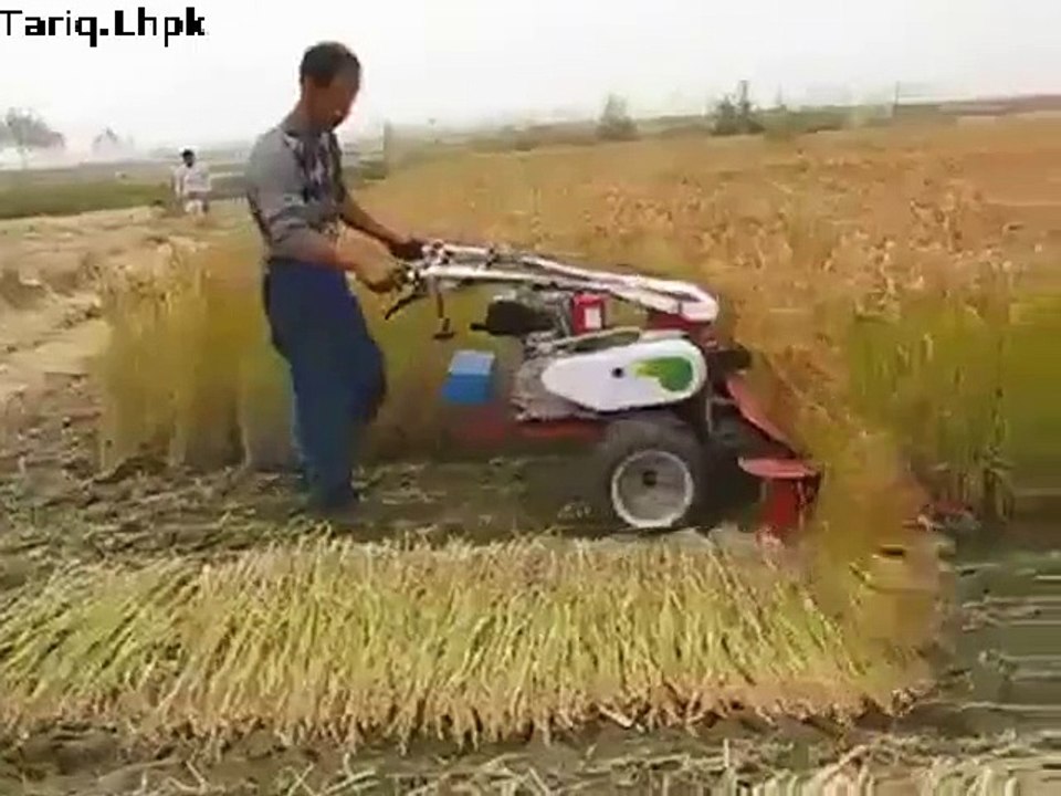 RICE CUTTER MACHINE