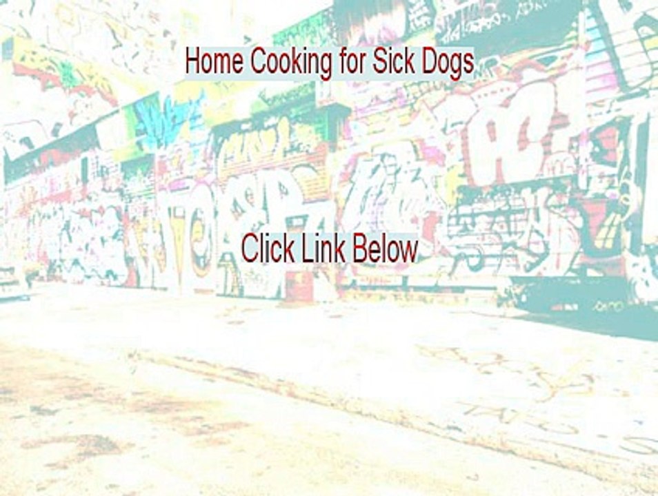 Home Cooking for Sick Dogs Review [Home Cooking for Sick Dogshome cooking for sick dogs]