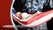Photo Released Capturing Baby Cradled in American Flag Causes Outrage Online