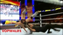 Daniel Bryan vs Roman Reigns FastLane 2015 Highlights