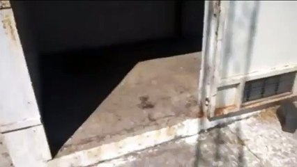 Você terá arrepios com esse vídeo