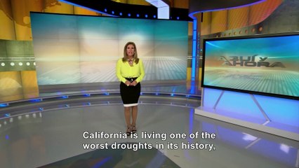 Esperando la Lluvia / Hoping for Rain