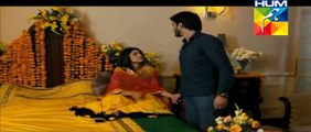 Alvida Drama OST - Title Song Full Video New Drama Serial By Hum Tv
