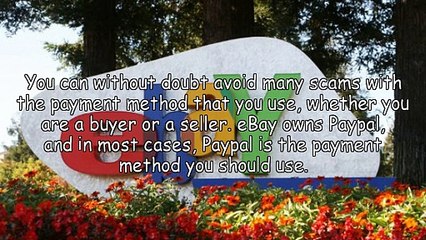 Evade the eBay Scams!