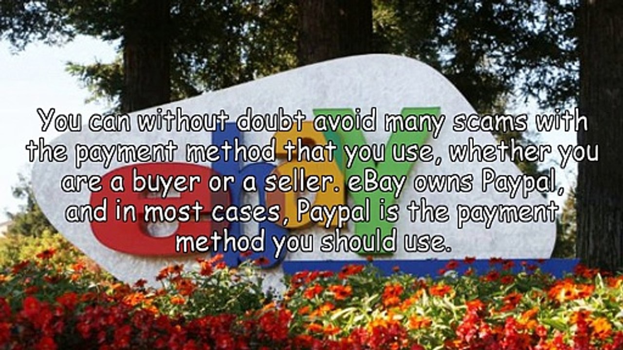 Evade the eBay Scams!