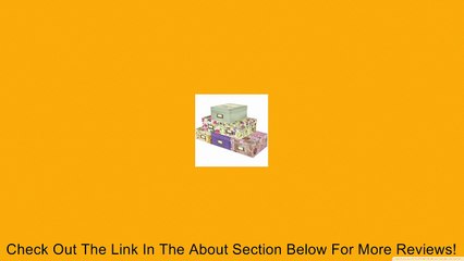 Pioneer Photo/Video Storage Box, Assorted Colors Review