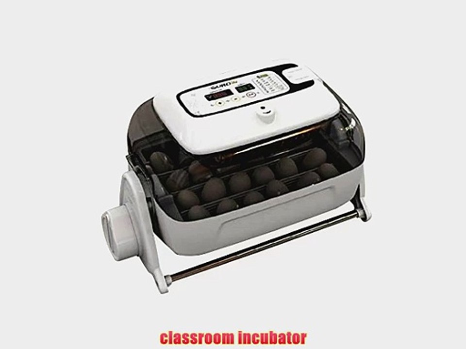 Digital Egg Incubator R-com 20 Suro Chicken or Reptile Incubator