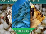 aquaculture feed supplements +91-9999693322