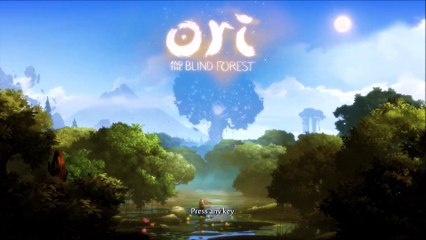 Ori et la forêt qui serait aveugle ?