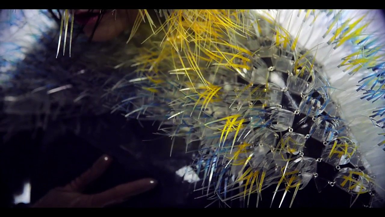 bjrk-lionsong new 2015