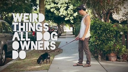 Weird Things All Dog Owners Do