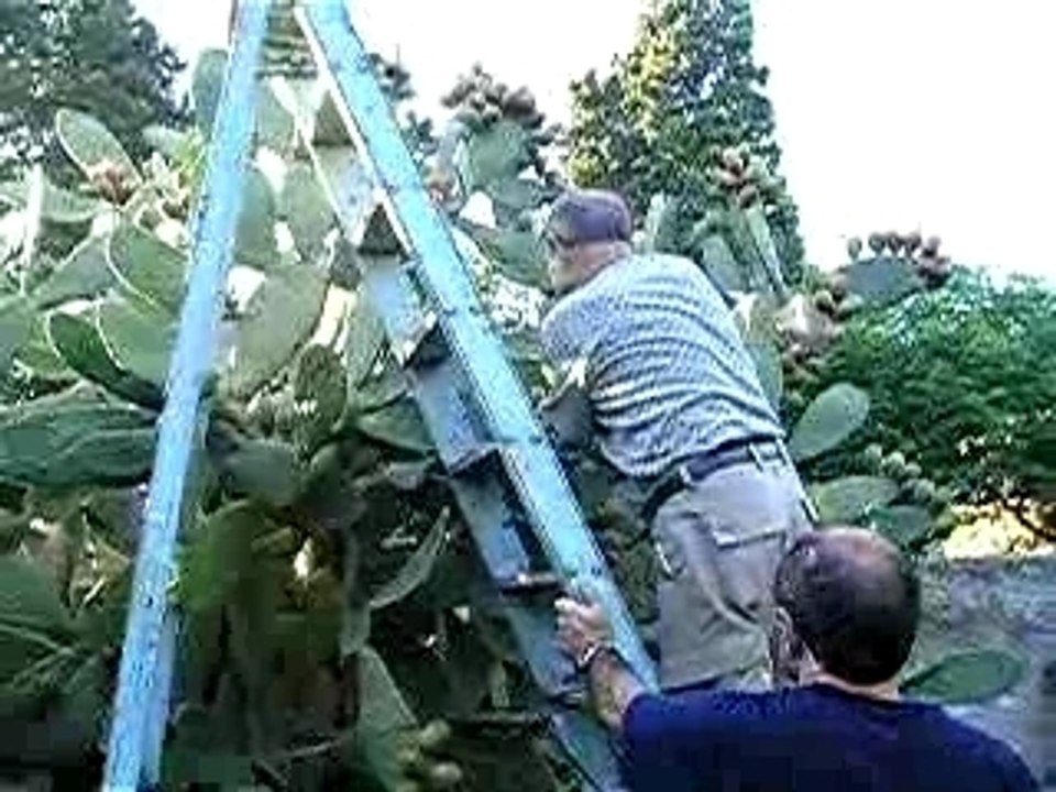 Argentina 2007 077