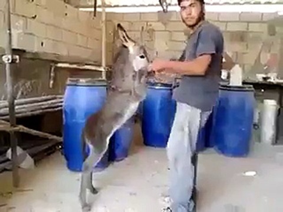 jab aye ka IMRAN