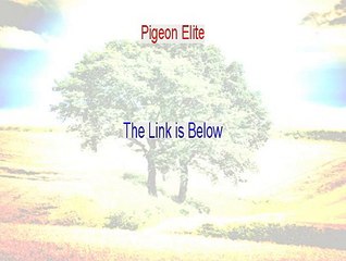 Pigeon Elite Free Review [pigeon elite center 2015]