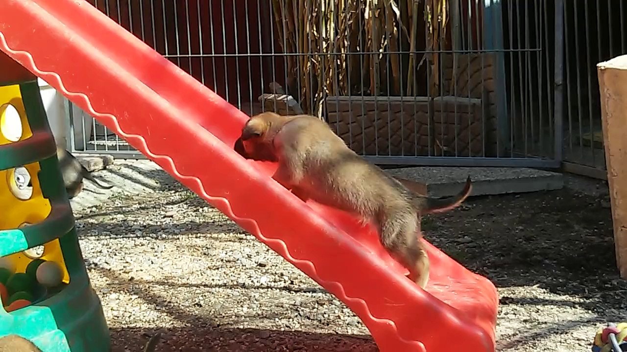 Be Aware H's @ Aufi aufn Berg!