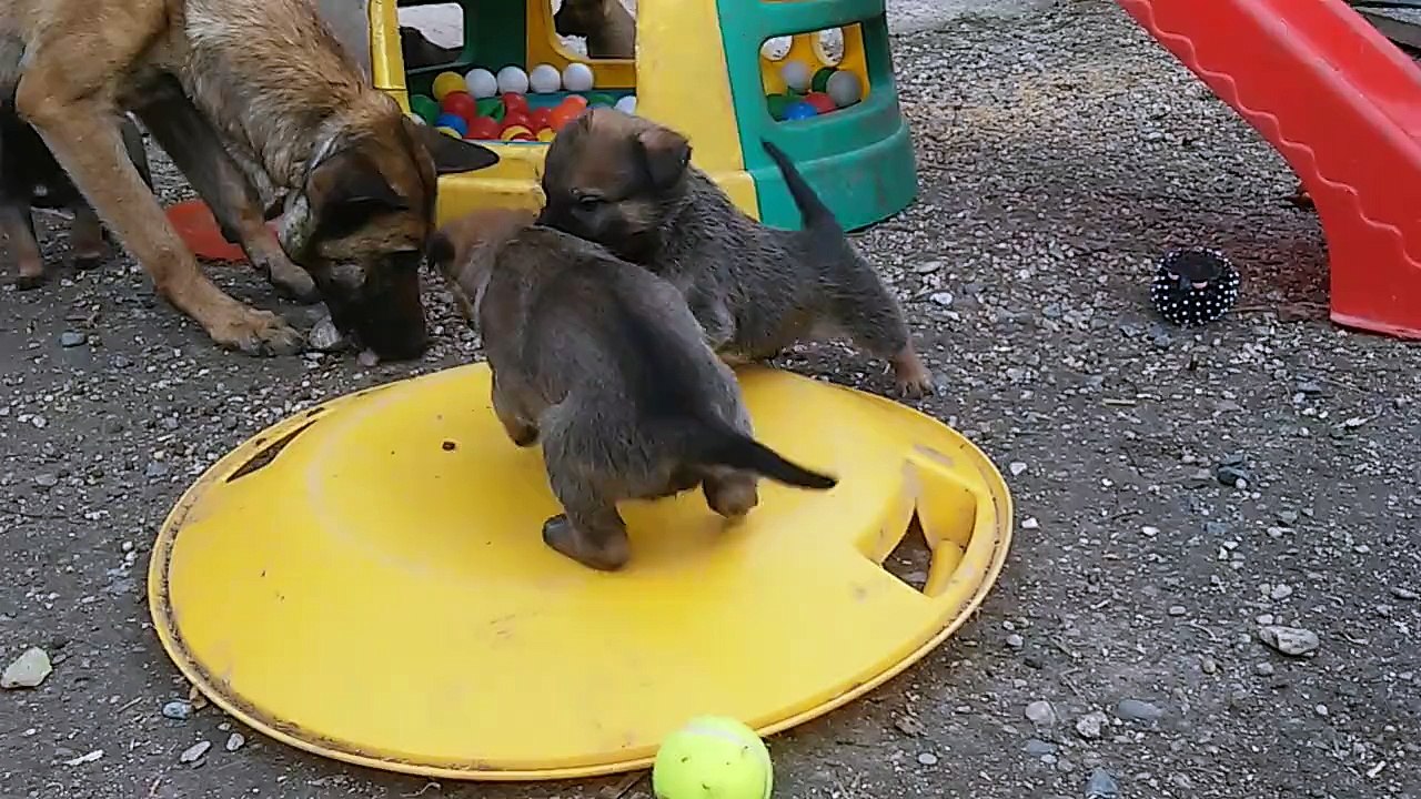 Be Aware H's @ Not a Gentleman!