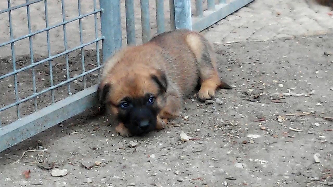 Be Aware H's @ Müder Krieger!