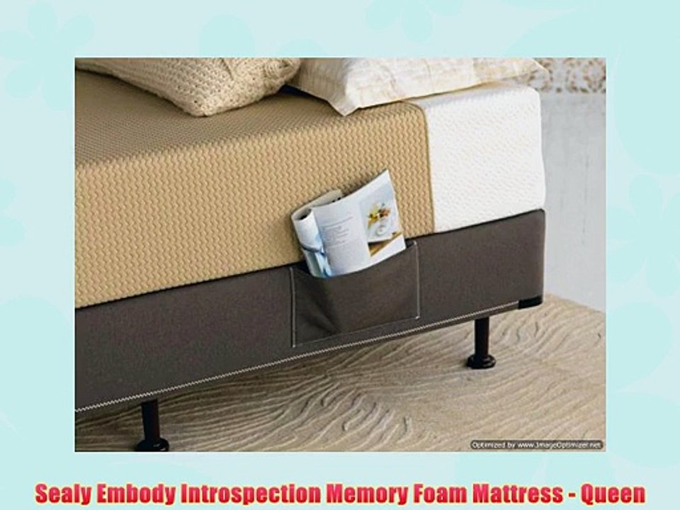 Sealy Embody Introspection Memory Foam Mattress - Queen