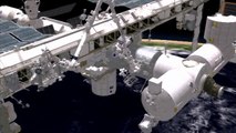 Canadarm Robot Arm Dextre changes a pump on the International Space Station
