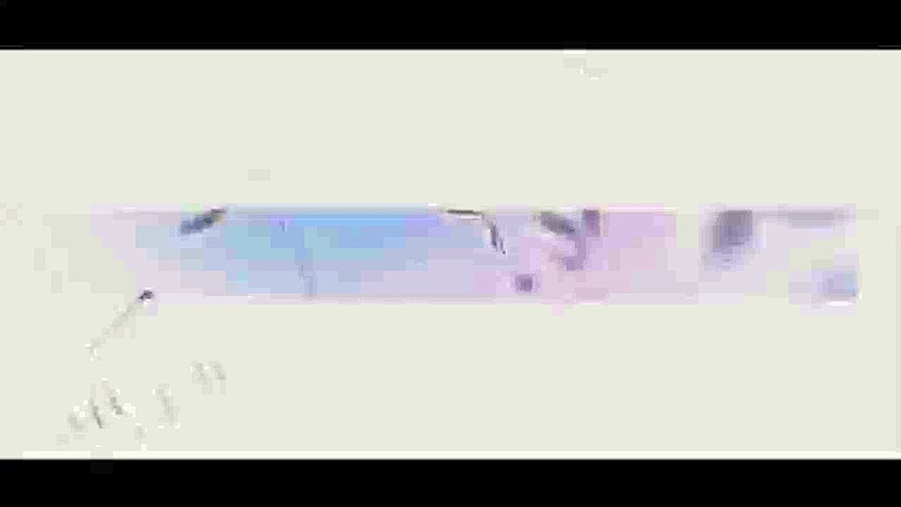 American Fork Dentists | Murdock & Searle Family Dentistry