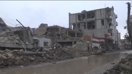 Kobani'de Hayat Normale Dönüyor