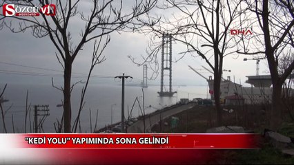 "Kedi yolu" yapımında sona gelindi