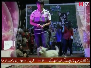 Pet Show In Karachi Video Report -HTV