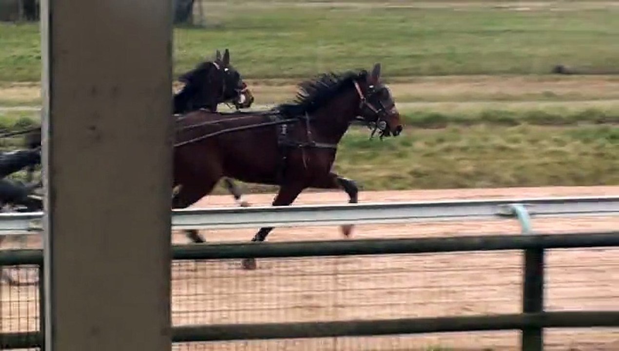 DIAMOND FOR EVER ET DECATUR D'OURVILLE EN PISTE