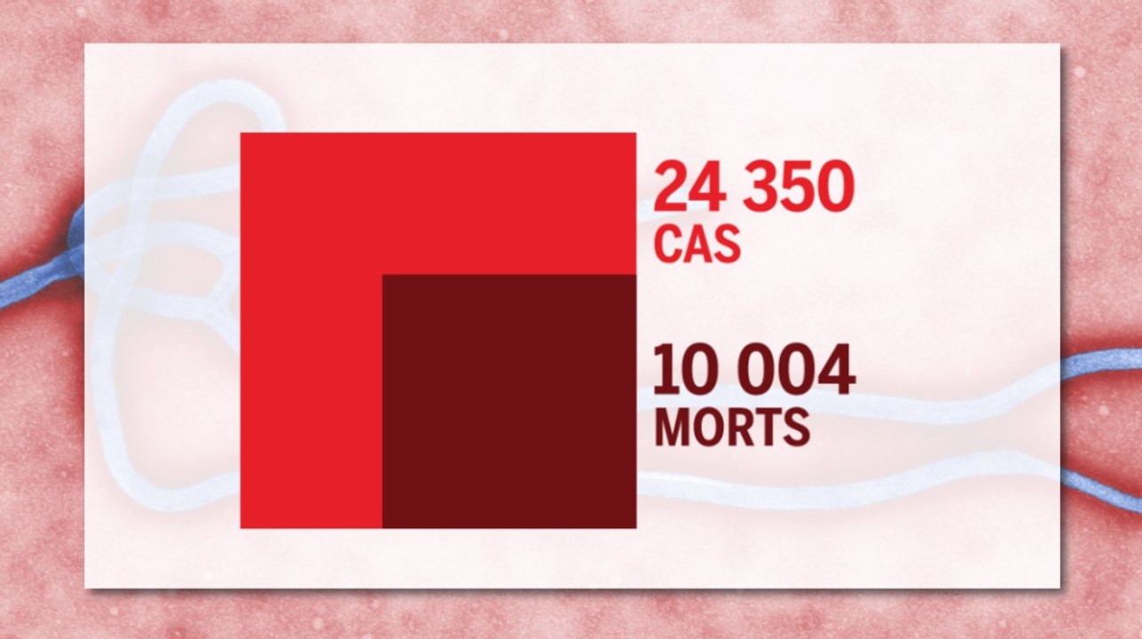 Les chiffres clés de l'épidémie d'ebola