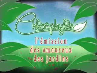 Chlorophylle épisode 127 sur Télé Doller