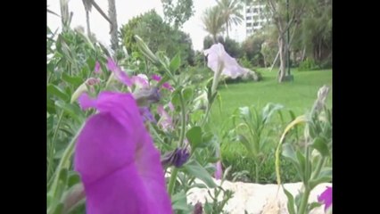 Joe ِِAshkar - Ramadan Riddle _ جو أشقر - حزورة رمضان