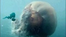 Weird Real Scary Pics