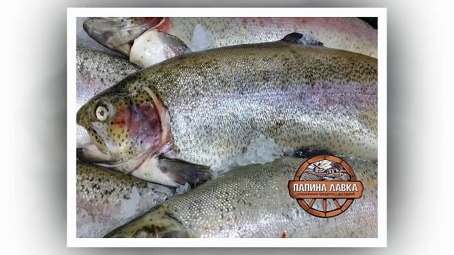 Свежая форель Икра свежая из форели Воронеж
