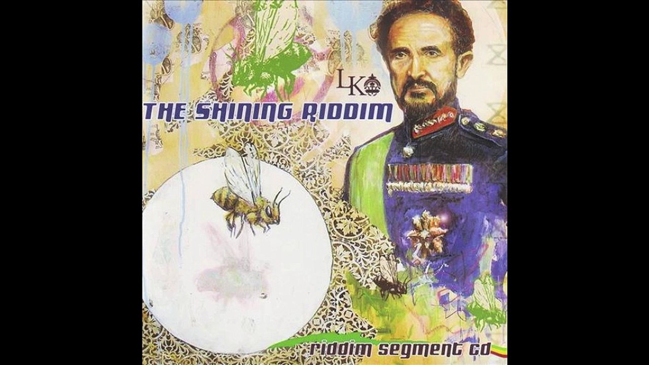 MEGAMIX "SHINING RIDDIM" by FUGEE BRASKO Selecta