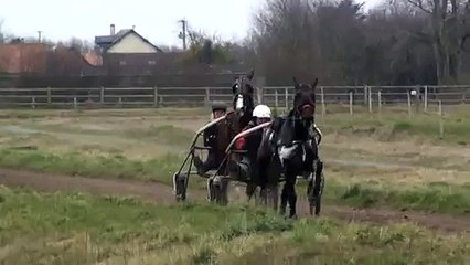 CALLING POLE EN PISTE POUR PREPARER LES QUALIFICATIONS