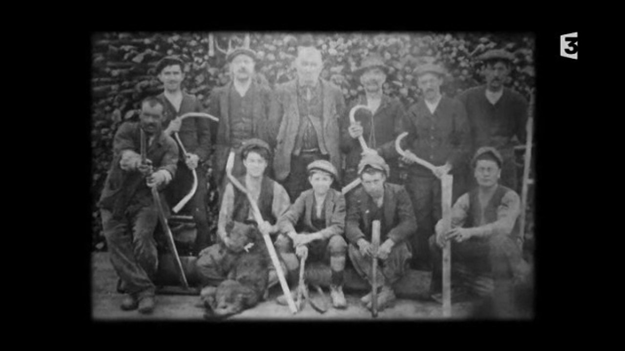 Les fourches en bois de micocoulier de Sauve